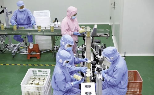 寧德古田 以菌立縣 路子對效果好