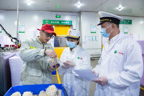 海關(guān)助力惠州金針菇開(kāi)拓國(guó)際市場(chǎng)