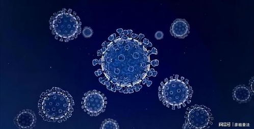 假如疫情一直繼續(xù),世界會怎么樣呢 專家分析 大概會有三種結(jié)局