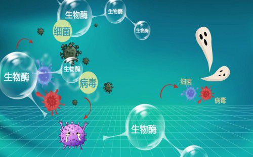 消殺抑菌凈化難兩全 福賽生物用生物科技和ai技術(shù)讓理想變?yōu)楝F(xiàn)實(shí)