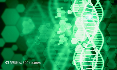 DNA分子高科技DNA分子的生物化學背景