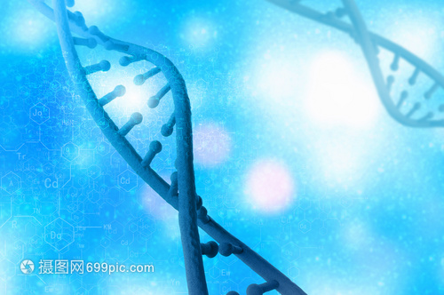 DNA分子高科技DNA分子的生物化學(xué)背景