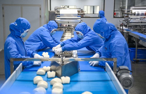 西南地區最大中式主食凍品生產工廠投入使用