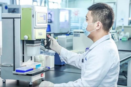 新增35個重點項目 高新區這片區域蓄勢待發