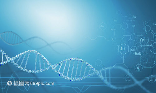 DNA分子高科技DNA分子的生物化學背景