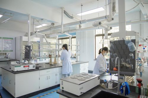 圣泰生物科技 傳承茶文化,創新富硒茶健康生活