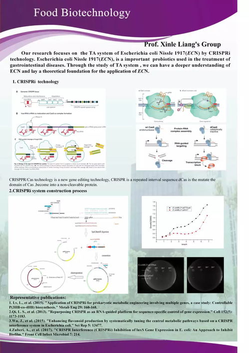 國際會(huì)議精彩回顧