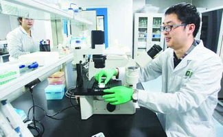 大慶高新區生物科技產業園 引領區域產業轉型升級新引擎