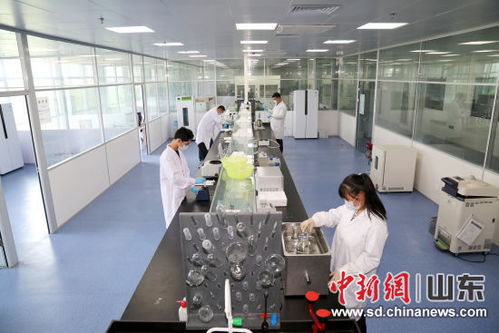 山東恒魯生物項目榮獲全國顛覆性技術創(chuàng)新大賽優(yōu)秀獎，彰顯生物科技新動能