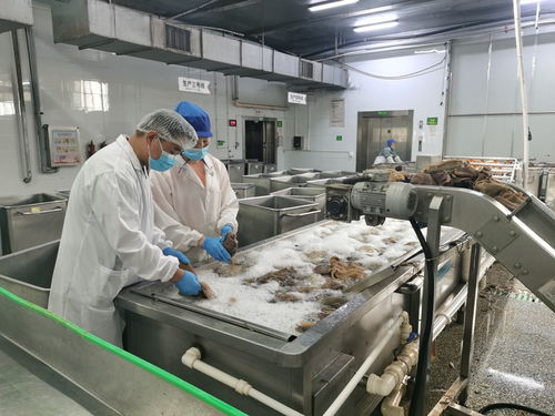 食品與生物工程學院省科技特派員前往受災企業(yè)開展生物科技精準幫扶