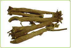 上海沐川生物科技 植物提取物產(chǎn)品概覽與創(chuàng)新應用