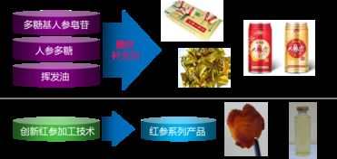 生物科技研究中心 驅(qū)動(dòng)未來(lái)生命科學(xué)創(chuàng)新的核心引擎